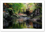 And Quiet Flows the Esk ♦ NORTH ESK GORGE