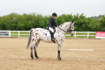 SBM_005937