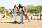 SBM_001356