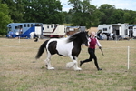 WJ6_5371