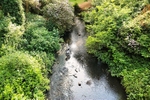 Sefton Park