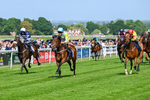 270526-Race 4-Mao Shang Wong-2927