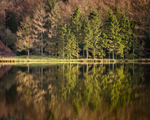 Reflections in Trentabank Reservoir (3)