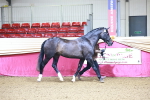 SBM_21661