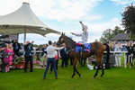 260823-Race 4-Absurde-1446