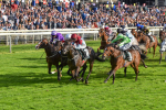 230923-Race 5-Vintage Clarets-6800
