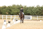 SBM_003252