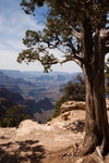 Grand Canyon Hermit Road 2  12 x 18