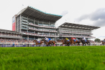 260823-Race 4-Absurde-1644