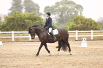 SBM_000919