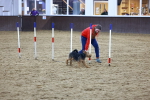 SBM_006096