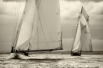 Westward Cup - GRW_4431