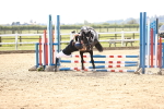 SBM_001291