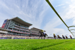 260725-Race 3-Royal Champion-2