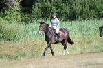 WJ7_3268