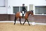 SBM_002431