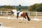SBM_001963