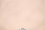 240706A-124856-01988
