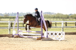 SBM_000881