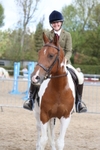 Ridden Showing portfolio