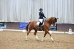 SBM_002666