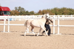 SBM_22875