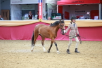SBM_04242