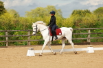 0B8A3629