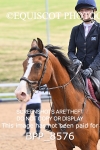 BPP_8576