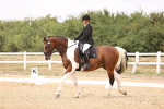 SBM_008756