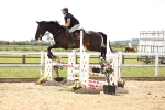 SBM_004446