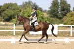 SBM_006525