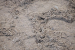 SBM_000050