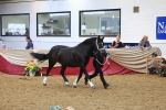 SBM_16725