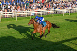 240726-Race 5-Diamond Rain-0556