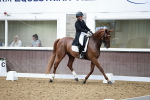 SBM_004911
