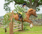 Dunblane show-468