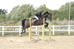SBM_004974