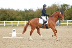 SBM_000537