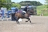 BPP_1076