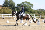 SBM_013232