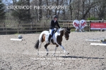 BPP_9861