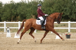 SBM_011801