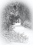 Snow Tunnel
