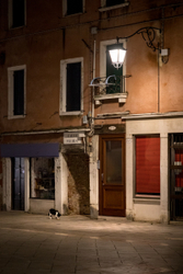 Evening meal - Venice, Italy.