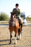 SBM_00495