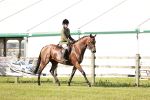 SBM_19224