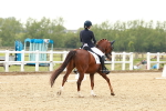 SBM_002778