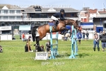 BPP_9069