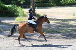 WJ7_4253